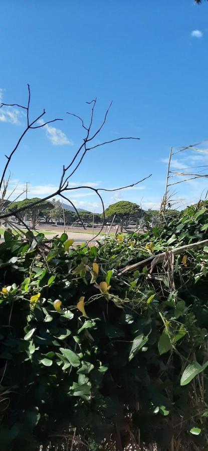Les Iles D'Or Au Port De Hyeres Grand Studio Climatise Eksteriør billede