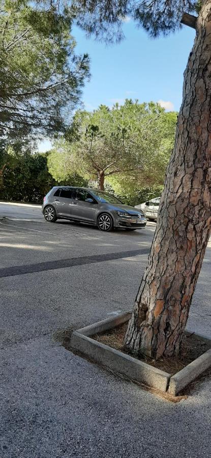 Les Iles D'Or Au Port De Hyeres Grand Studio Climatise Eksteriør billede