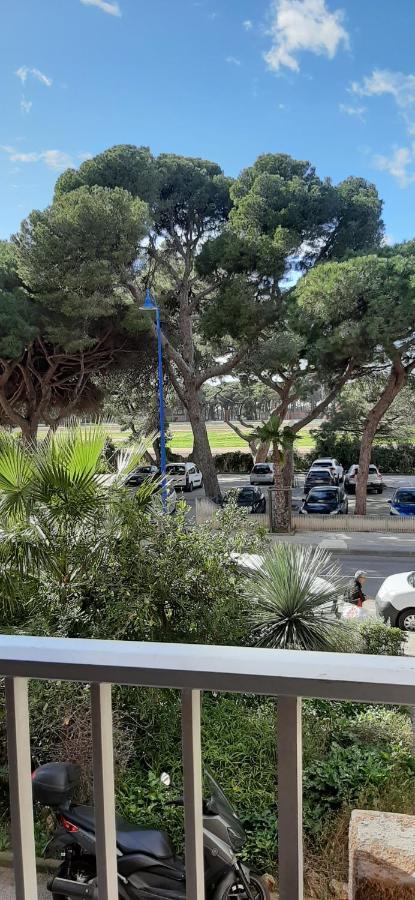 Les Iles D'Or Au Port De Hyeres Grand Studio Climatise Eksteriør billede