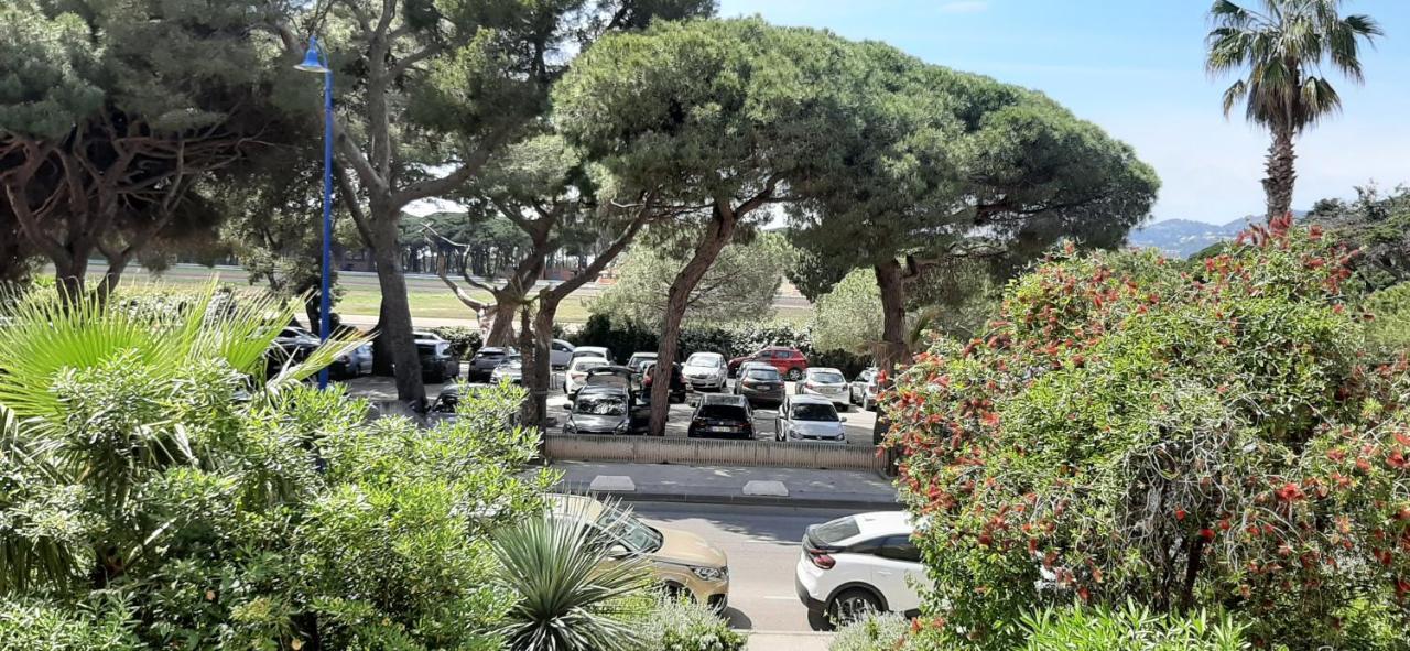 Les Iles D'Or Au Port De Hyeres Grand Studio Climatise Eksteriør billede
