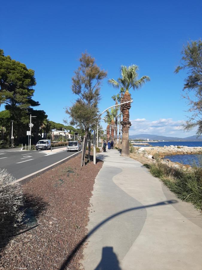 Les Iles D'Or Au Port De Hyeres Grand Studio Climatise Eksteriør billede