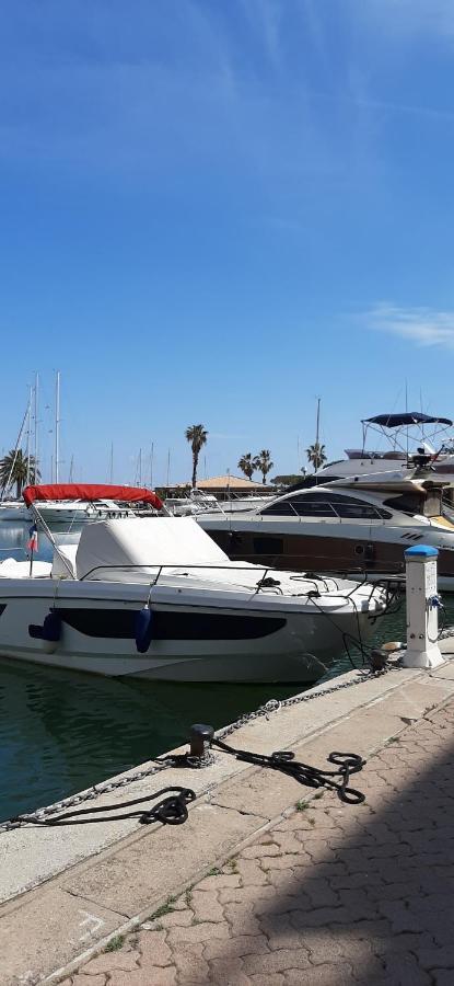 Les Iles D'Or Au Port De Hyeres Grand Studio Climatise Eksteriør billede